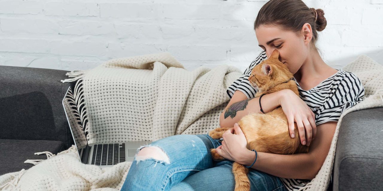 ¿Qué necesita un gato para ser feliz?