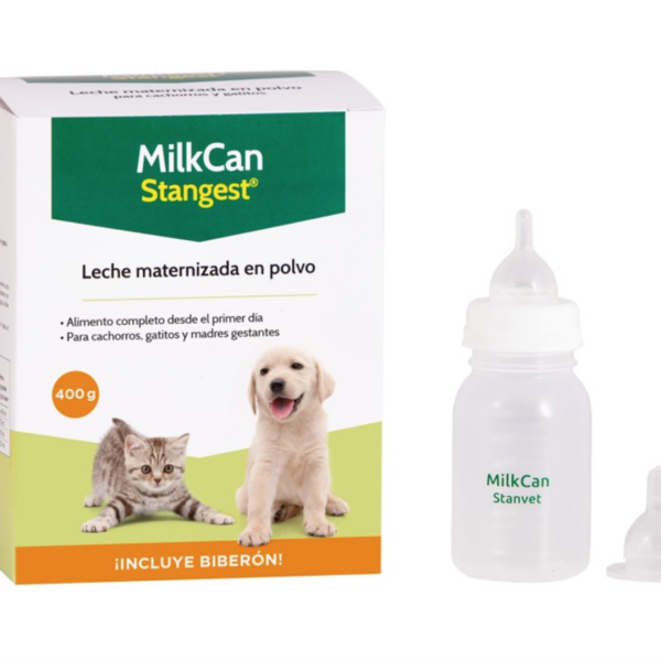 leche para gatitos